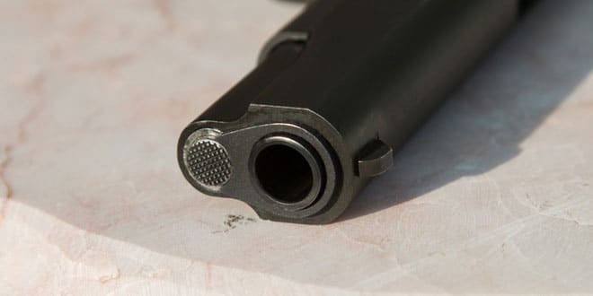 gun gun