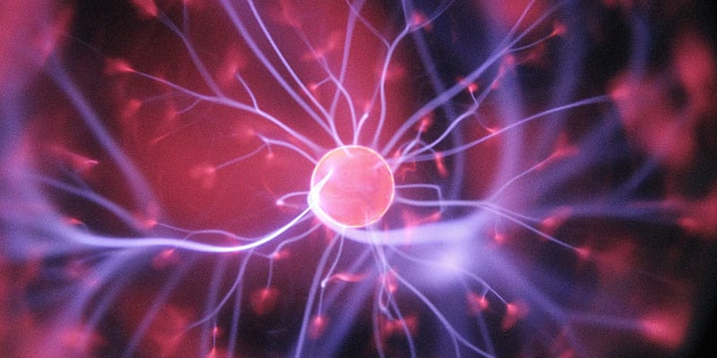 psychology in web design